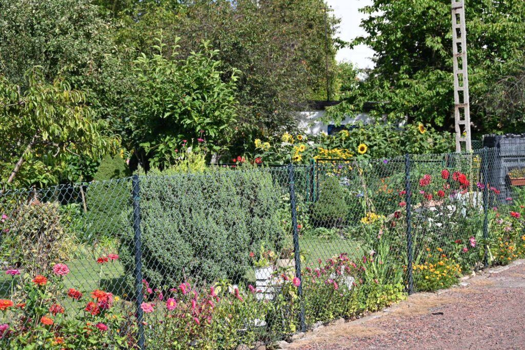 foto ogródka działkowego