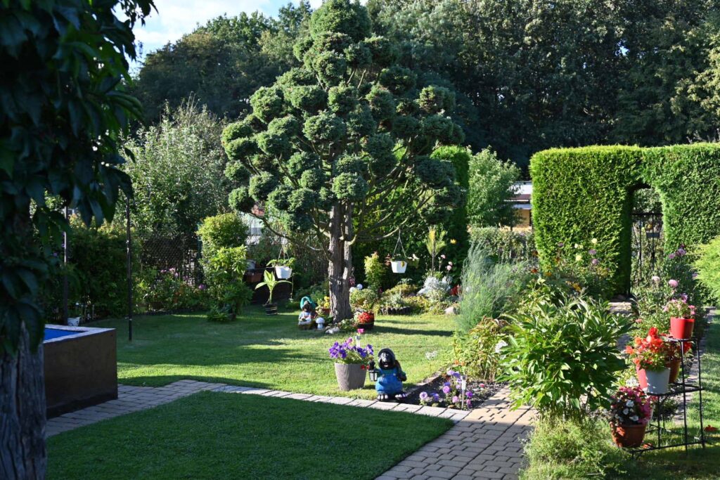 foto ogródka działkowego